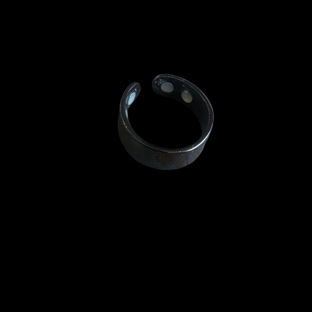 Black Magnetic Ring